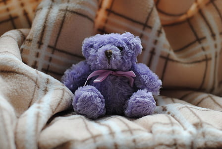 purple bear on beige plaid blanket thumbnail
