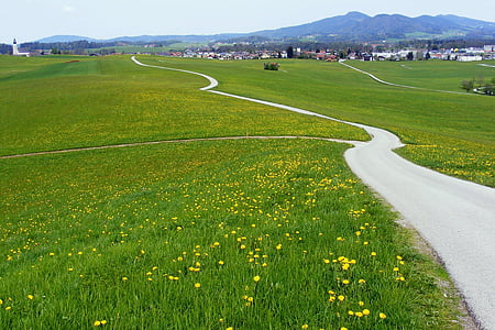 green grass field during daytime thumbnail
