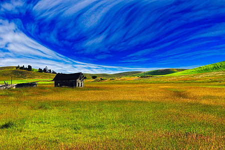 black and white wooden shed surrounded by green grass thumbnail