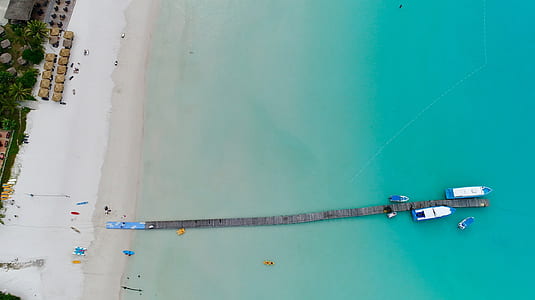 bird's-eye view photography of wooden dock on beach thumbnail