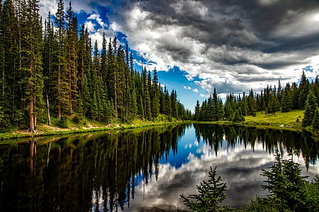 body of water surrounded by trees thumbnail
