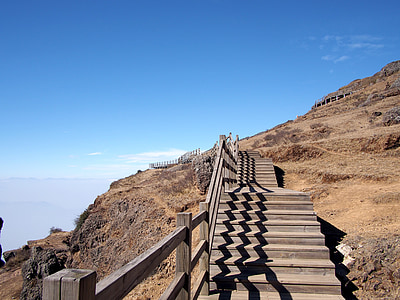 brown wooden mountain stairs during daytime thumbnail
