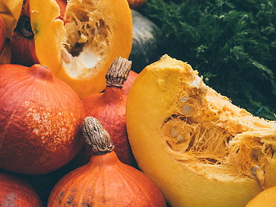 pumpkin lot near green grasses thumbnail