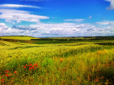 green grass field under blue cloudy sky during daytime thumbnail