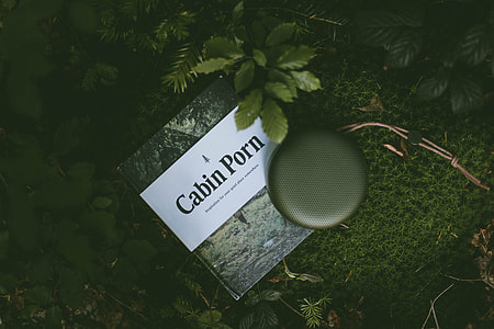 Cabin Porn book beside green leaf plant thumbnail