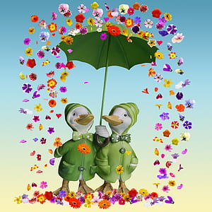 two duck under green umbrella illustration thumbnail