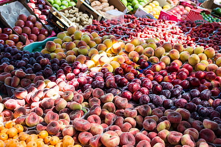 assorted apple lot thumbnail