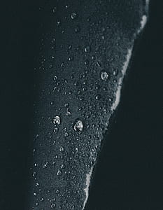 close-up photo of water drops thumbnail
