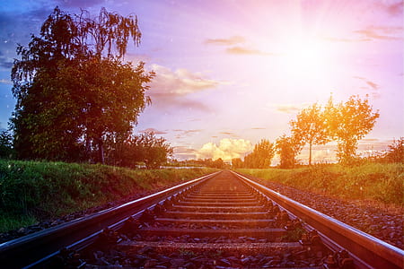 train rail in between grass field thumbnail