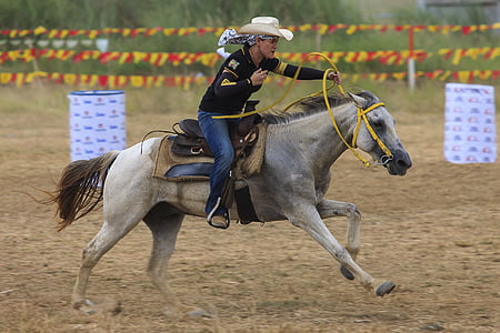 man riding horse during daytime thumbnail