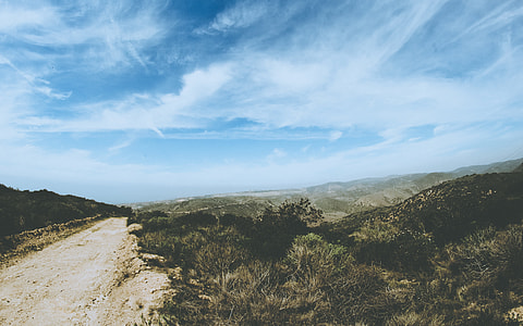 landscape photography of green trees and mountain range during daytime thumbnail