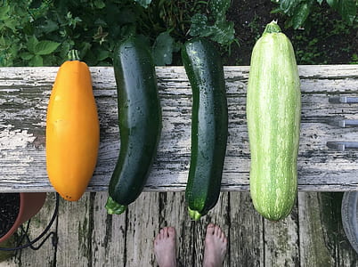 four types of zucchinis thumbnail