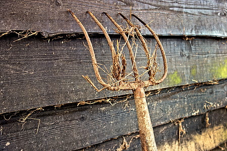 brown rake thumbnail