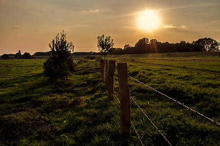 grass field with grey wire fence thumbnail