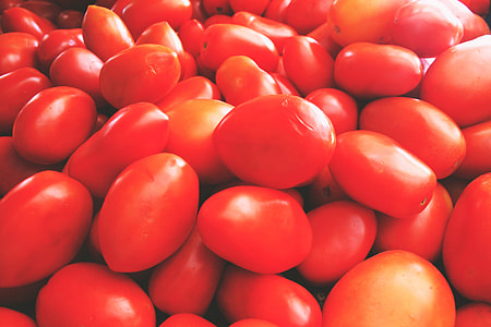 Fresh red tomatoes thumbnail