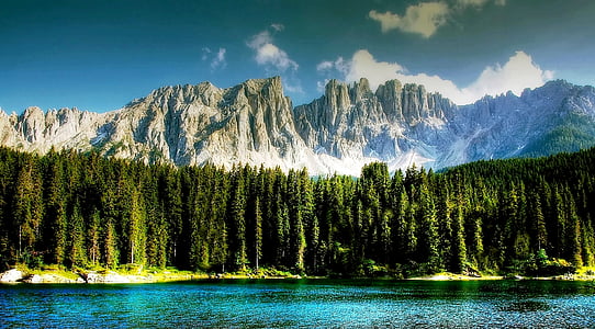 green trees on front of mountain thumbnail