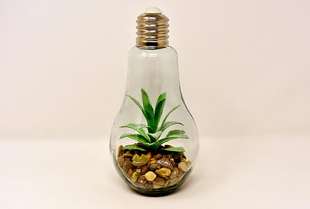 clear glass bulb with plat thumbnail