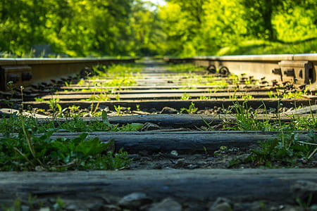 train rail macro photo thumbnail
