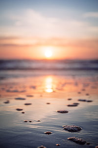 selective focus photography of body of water thumbnail
