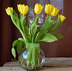 yellow tulips in vase thumbnail