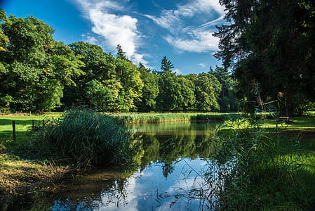 calm body of water beside green grass field during daytime thumbnail