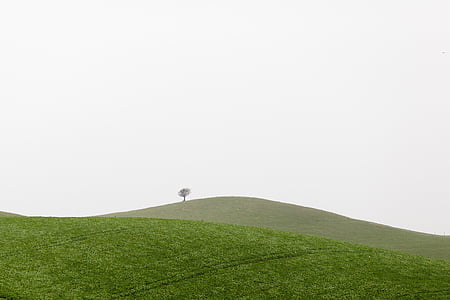 green grass mountain thumbnail