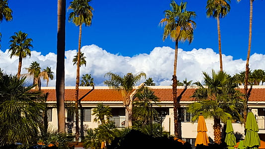 clouds, hotel, trees, house thumbnail