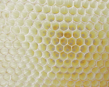 yellow wallpaper thumbnail