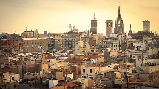 aerial photography of city thumbnail
