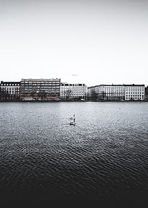 body of water surrounded by concrete houses under gray sky during daytime thumbnail