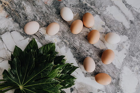 Fresh Eggs thumbnail