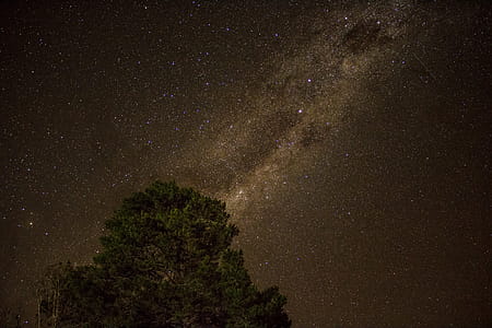 Scenic View of Night Sky thumbnail