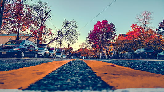 close-up photography of pedestrian lane thumbnail