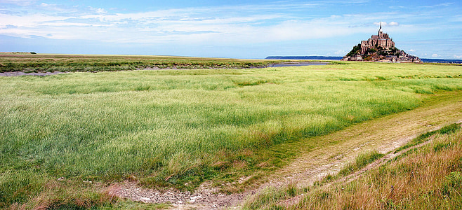 portrait photography of green field during daytime thumbnail