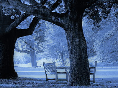 Two Brown Wooden Armchairs thumbnail