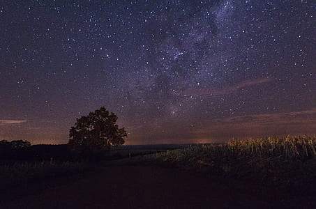 dirt road between grass under stary night thumbnail