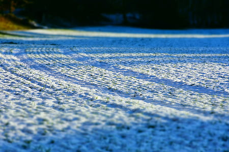 shallow focus photography of snow on road thumbnail