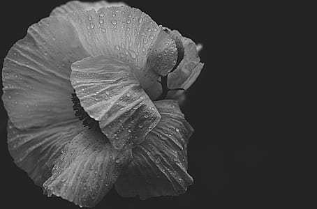black-and-white, water, texture, abstract thumbnail