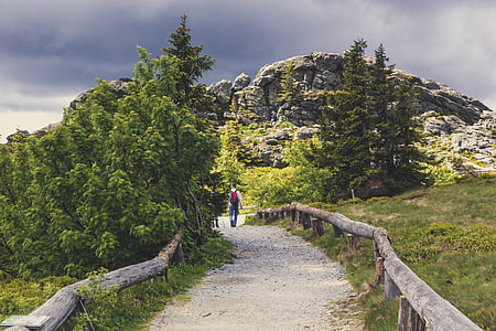 man in white shirt wearing red backpack between trees thumbnail
