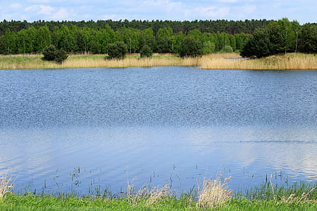 body of water surrounded by grass at daytime photo thumbnail