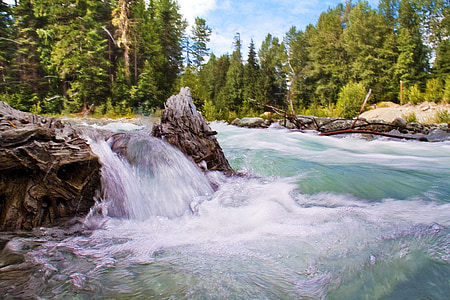 time lapse photography of river between forest trees thumbnail