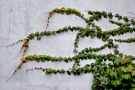 green and yellow beaded necklace thumbnail