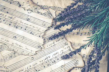 brown and black musical notes thumbnail
