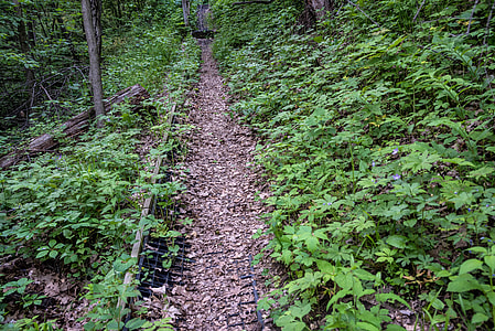 On the south trail system thumbnail