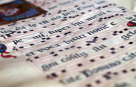 closeup photo of white printer paper thumbnail
