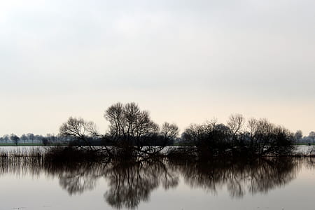 calm body of water near trees at daytime thumbnail