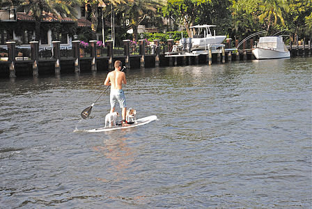 man and two dog riding paddle board at daytime thumbnail