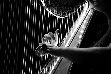 grayscale photo of person playing harp thumbnail