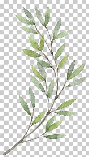 Wreath Watercolor painting Flower , Hand-painted Plants, green leaves painting PNG clipart