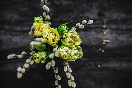 Close-ups of little yellow flowers and catkins in a glass jar thumbnail
